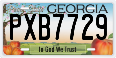 GA license plate PXB7729