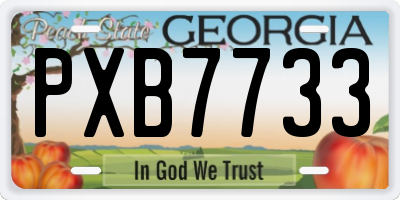 GA license plate PXB7733
