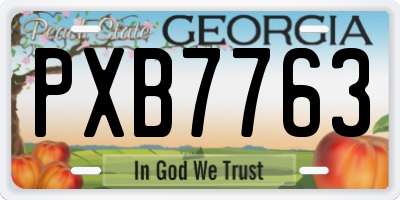 GA license plate PXB7763