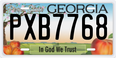 GA license plate PXB7768