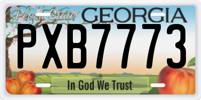 GA license plate PXB7773