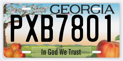 GA license plate PXB7801