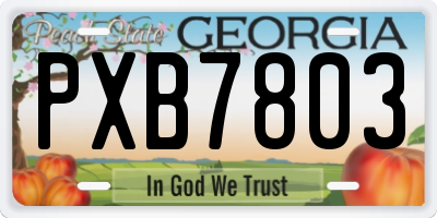 GA license plate PXB7803