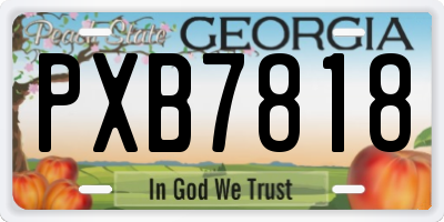 GA license plate PXB7818