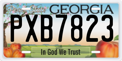 GA license plate PXB7823