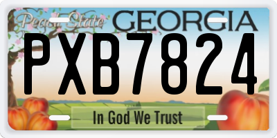 GA license plate PXB7824