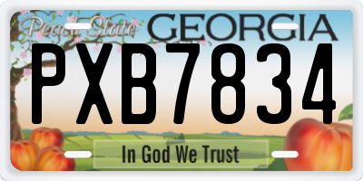 GA license plate PXB7834