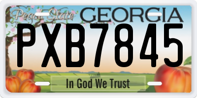 GA license plate PXB7845