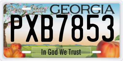GA license plate PXB7853