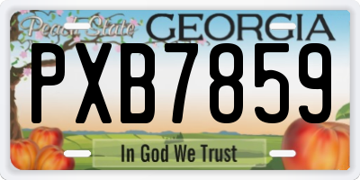 GA license plate PXB7859