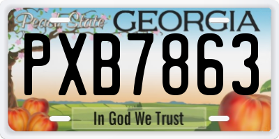 GA license plate PXB7863