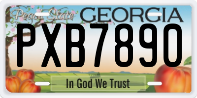 GA license plate PXB7890
