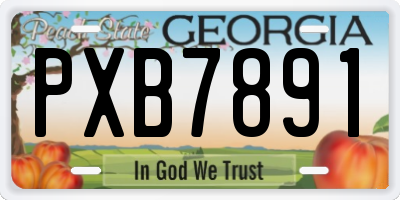 GA license plate PXB7891