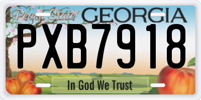 GA license plate PXB7918