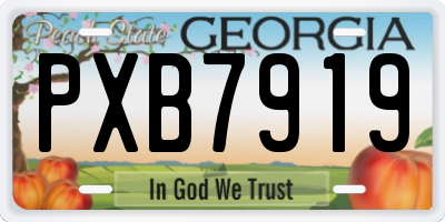 GA license plate PXB7919