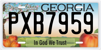 GA license plate PXB7959