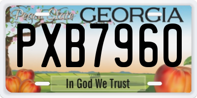 GA license plate PXB7960
