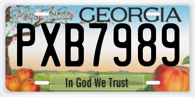 GA license plate PXB7989
