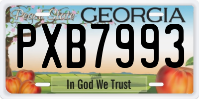 GA license plate PXB7993