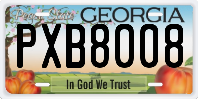 GA license plate PXB8008