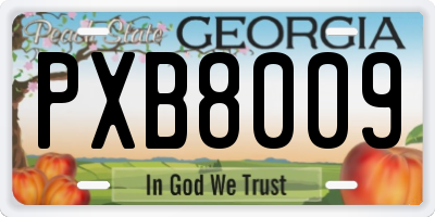 GA license plate PXB8009