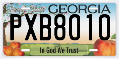 GA license plate PXB8010