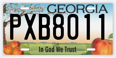 GA license plate PXB8011