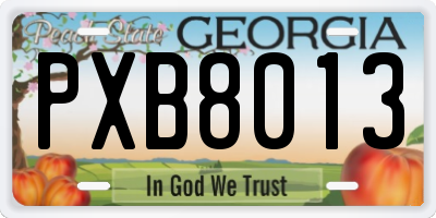 GA license plate PXB8013