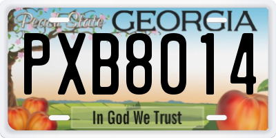 GA license plate PXB8014