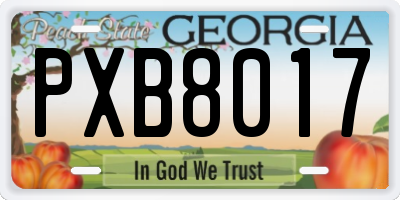 GA license plate PXB8017