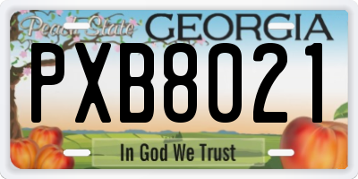 GA license plate PXB8021