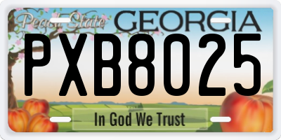 GA license plate PXB8025