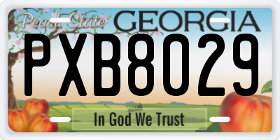 GA license plate PXB8029