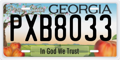 GA license plate PXB8033
