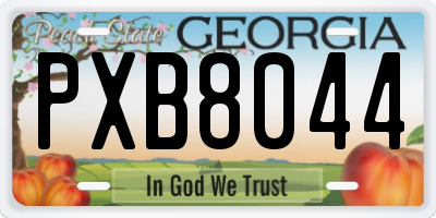 GA license plate PXB8044