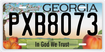 GA license plate PXB8073