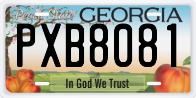 GA license plate PXB8081