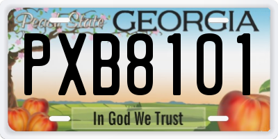 GA license plate PXB8101