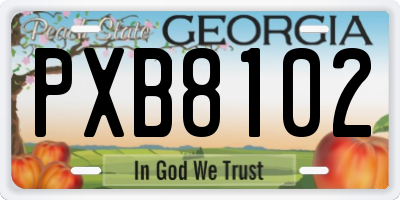 GA license plate PXB8102