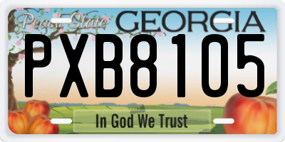 GA license plate PXB8105
