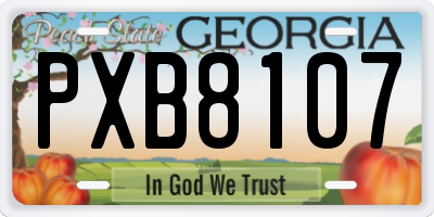 GA license plate PXB8107