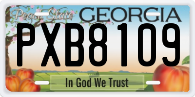 GA license plate PXB8109