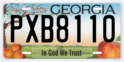GA license plate PXB8110