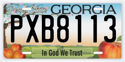 GA license plate PXB8113