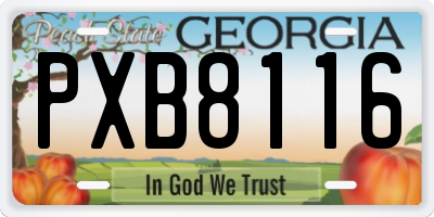 GA license plate PXB8116