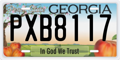 GA license plate PXB8117