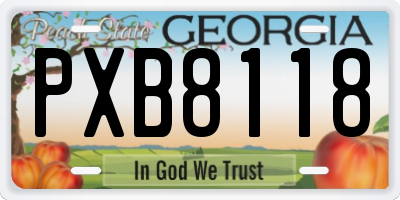 GA license plate PXB8118