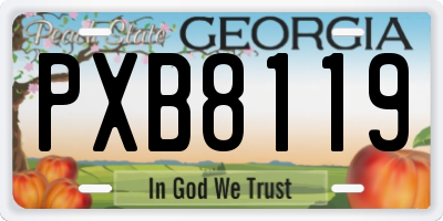 GA license plate PXB8119