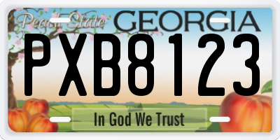 GA license plate PXB8123