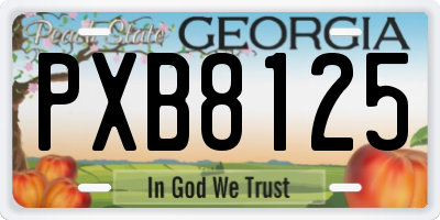 GA license plate PXB8125